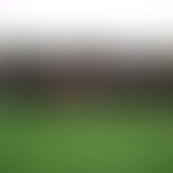 Cali se corona campeón en la categoría Veteranos