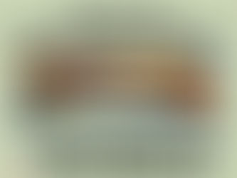 Proyecto de Pintura de Bancas en el Parque Ocotillo