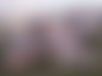 Real FC y sus figuras brillan en el Torneo de Verano 2025