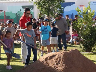 IID impulsa plantación de árboles en espacios públicos