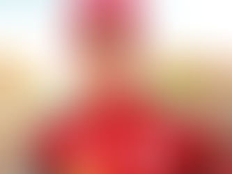 PREMA Racing completó recientemente su primera prueba INDYCAR en el Thermal Club