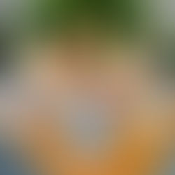 Regresa el Seven Seas Food Festival a SeaWorld