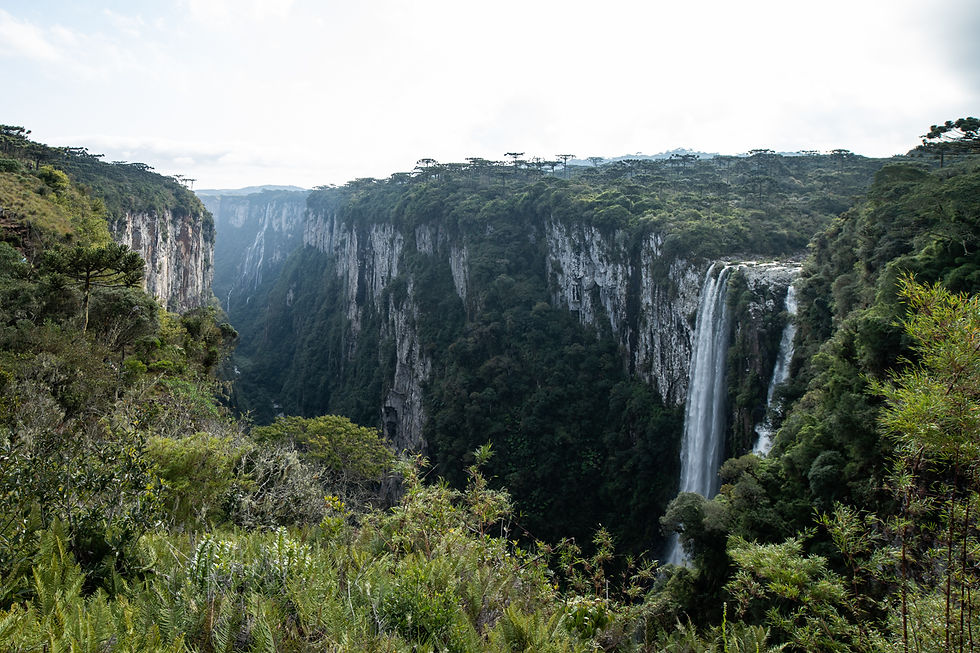 Cachoeira das Andorinhas - Trilha do Vértice
