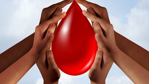 Dia Nacional do Dador de Sangue – 27 de março 