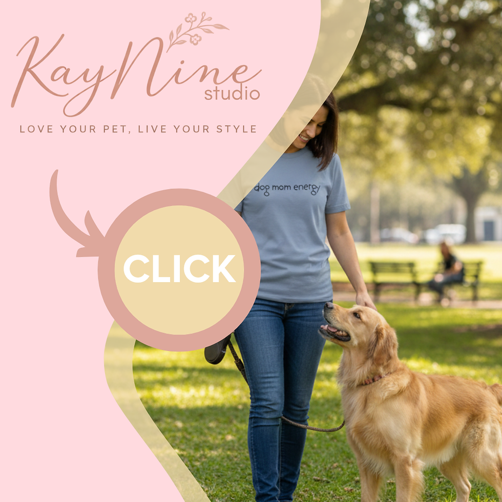 Dog mom favorites, all in one place 🐾