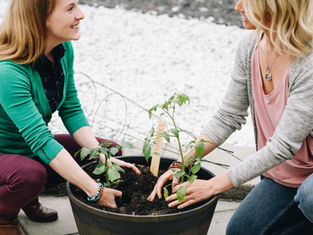 Nurturing Careers, Enriching Lives: The Multifaceted Allure of Rural BC's Occupational Therapy Landscape