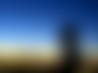 The Introduction: Reflections on Career, Leadership, and Growth