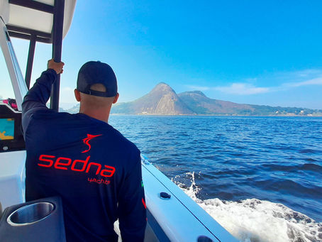 WHAT IS SEDNA?
