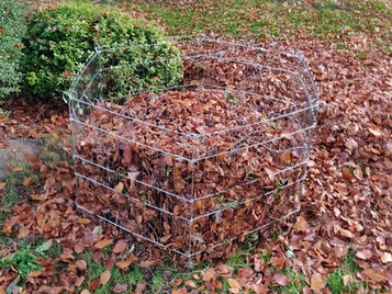 5| Treevember: Bladkorven en andere bewonersinitiatieven