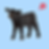 Veau Black Angus
