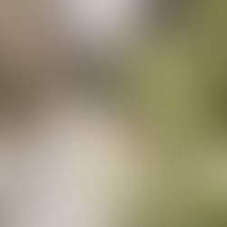 APPARTEMENT 3 PIECES - EN LOCATION - COTE D’IVOIRE - RIVIERA FAYA A 320 MILLE FCFA/MOIS