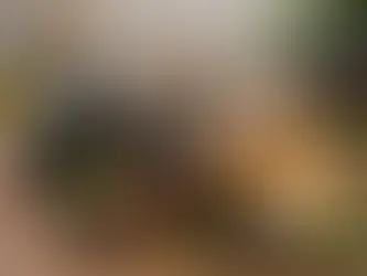 Guida ai prodotti balsamici naturali