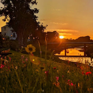 Twilight Tranquility
