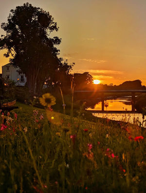 Twilight Tranquility