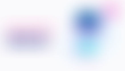 Meena: Introduction and Implementation Guide