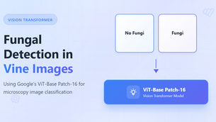 Fungal Detection in Vine Images: Using Google’s ViT-Base Patch-16 Vision Transformer