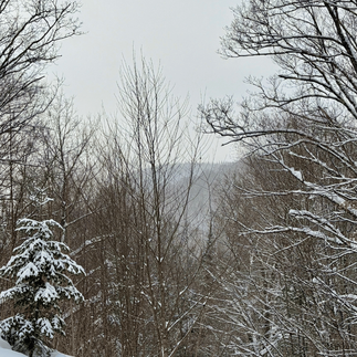 Snow-covered forest landscape in Mont-Tremblant near Lac Supérieur during winter