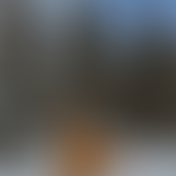 Golden retriever sitting in snowy forest near Mont-Tremblant cottage