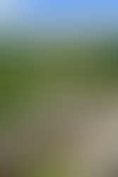 A high castle viewpoint with a stone battlement wall, overlooking lush green fields and small villages.