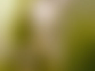 7 Reasons Why is it Important to Have or Connect with a Deity