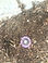 man-hand-garden-growth_edited.jpg