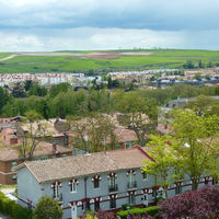 p1000782