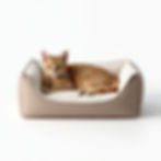 Cozy Cat Bed