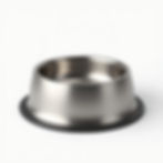Stainless Steel Pet Bowl