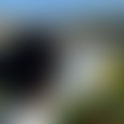 君が見つめた海