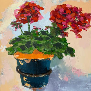 Geraniums