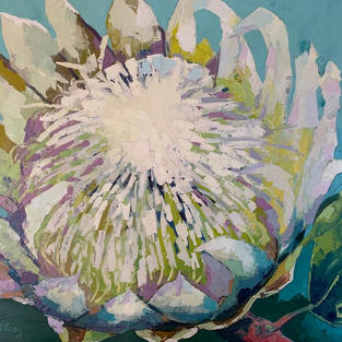 King Protea