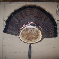 First turkey.jpeg