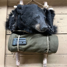Bear Shoulder Mount
