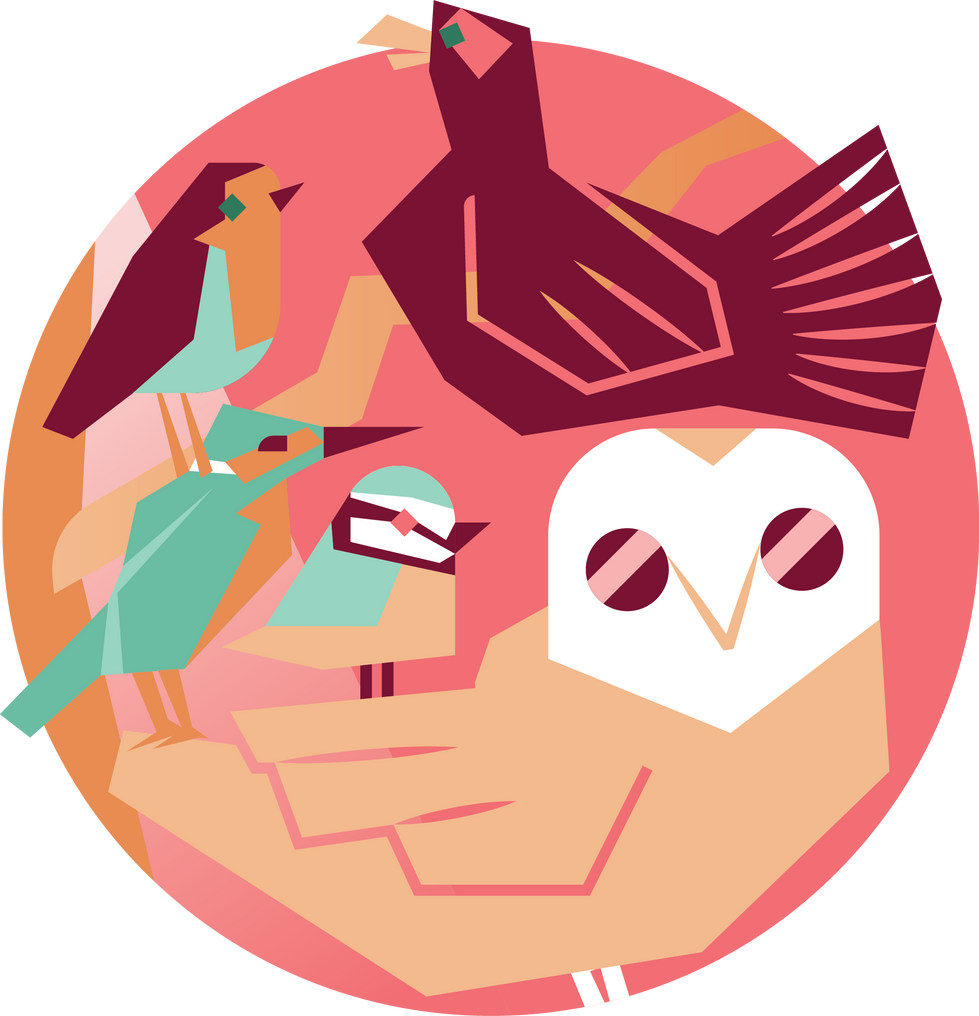 birds.png
