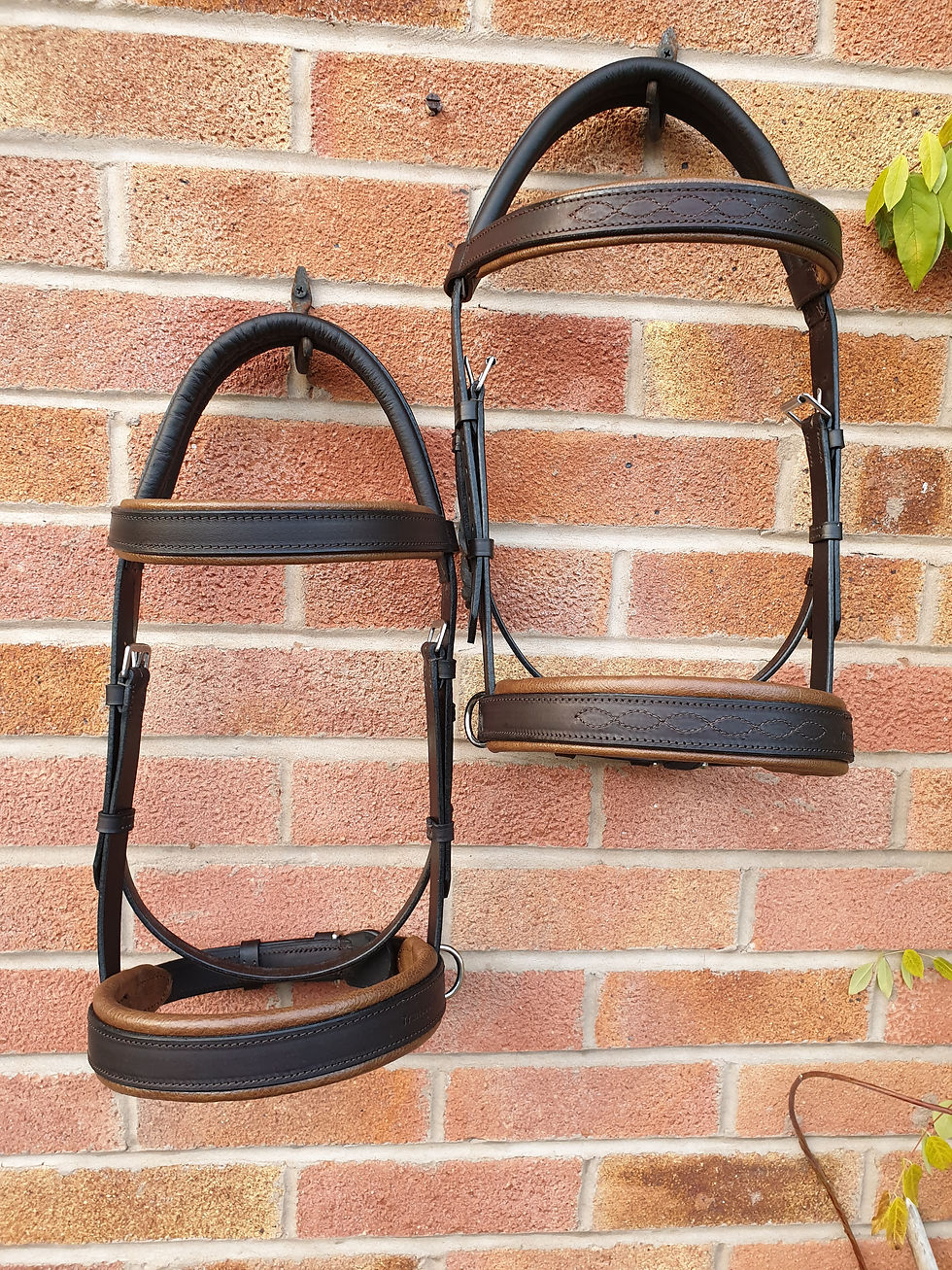 Leather side cue bridles full size havana/antique
