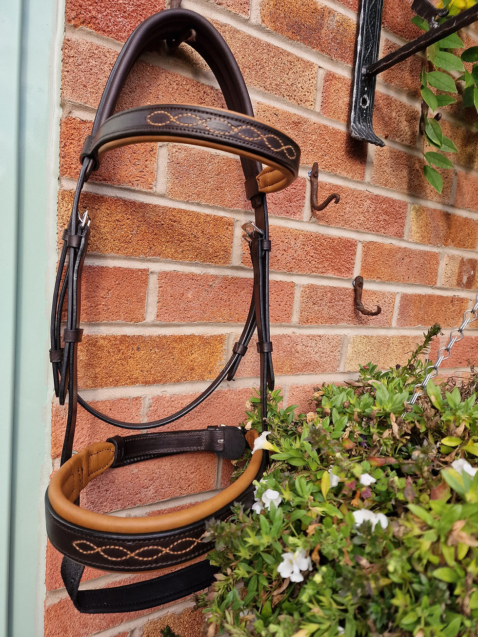 Double bridles, black or Havana, with clouded toffee lining