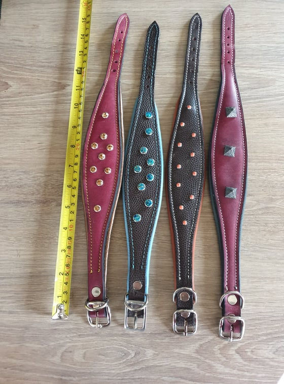 Whippet collars with studs