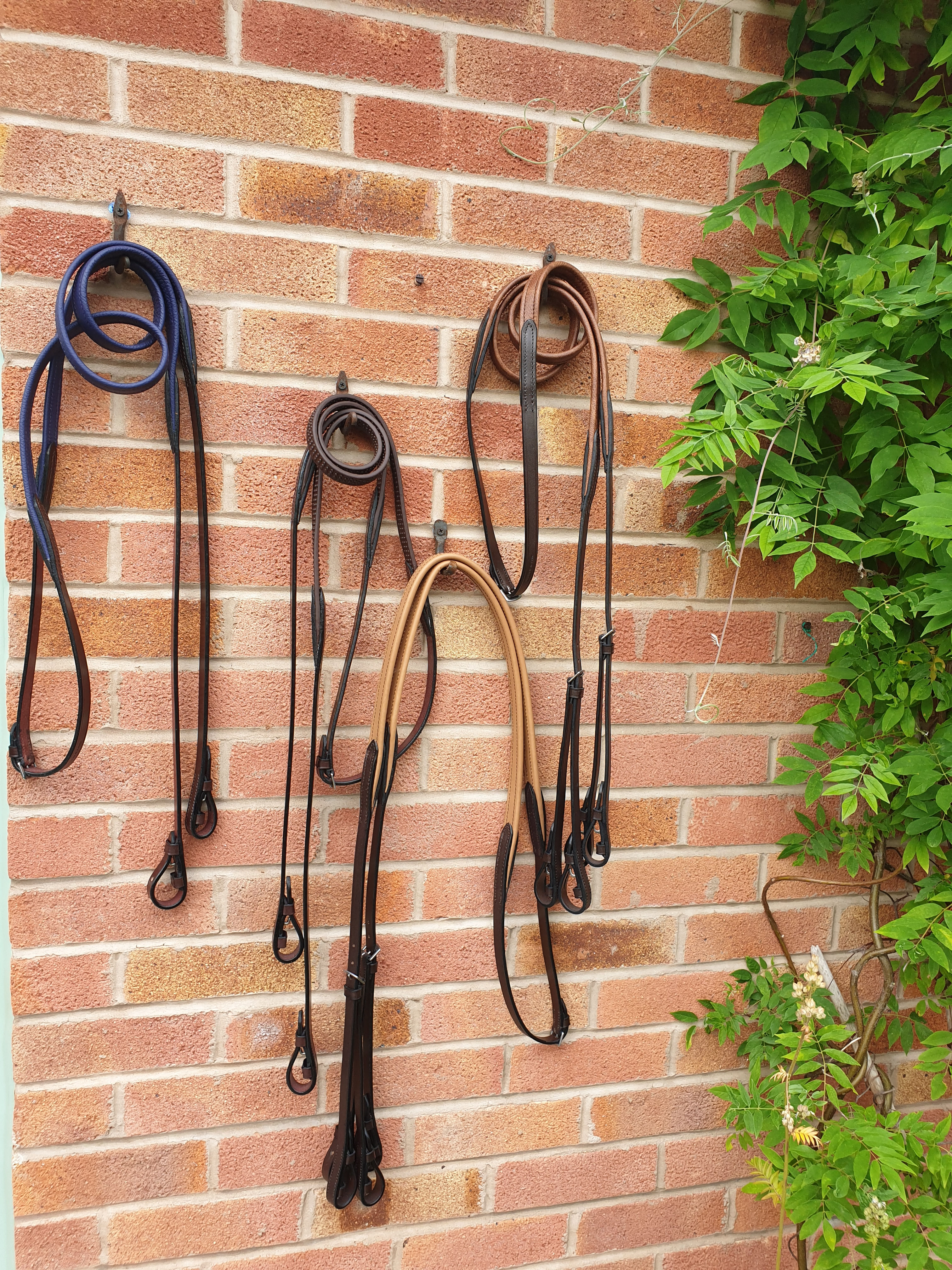 Side-Cue Reins TWO-TONE