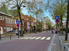 Waarom een zebrapad zo belangrijk is