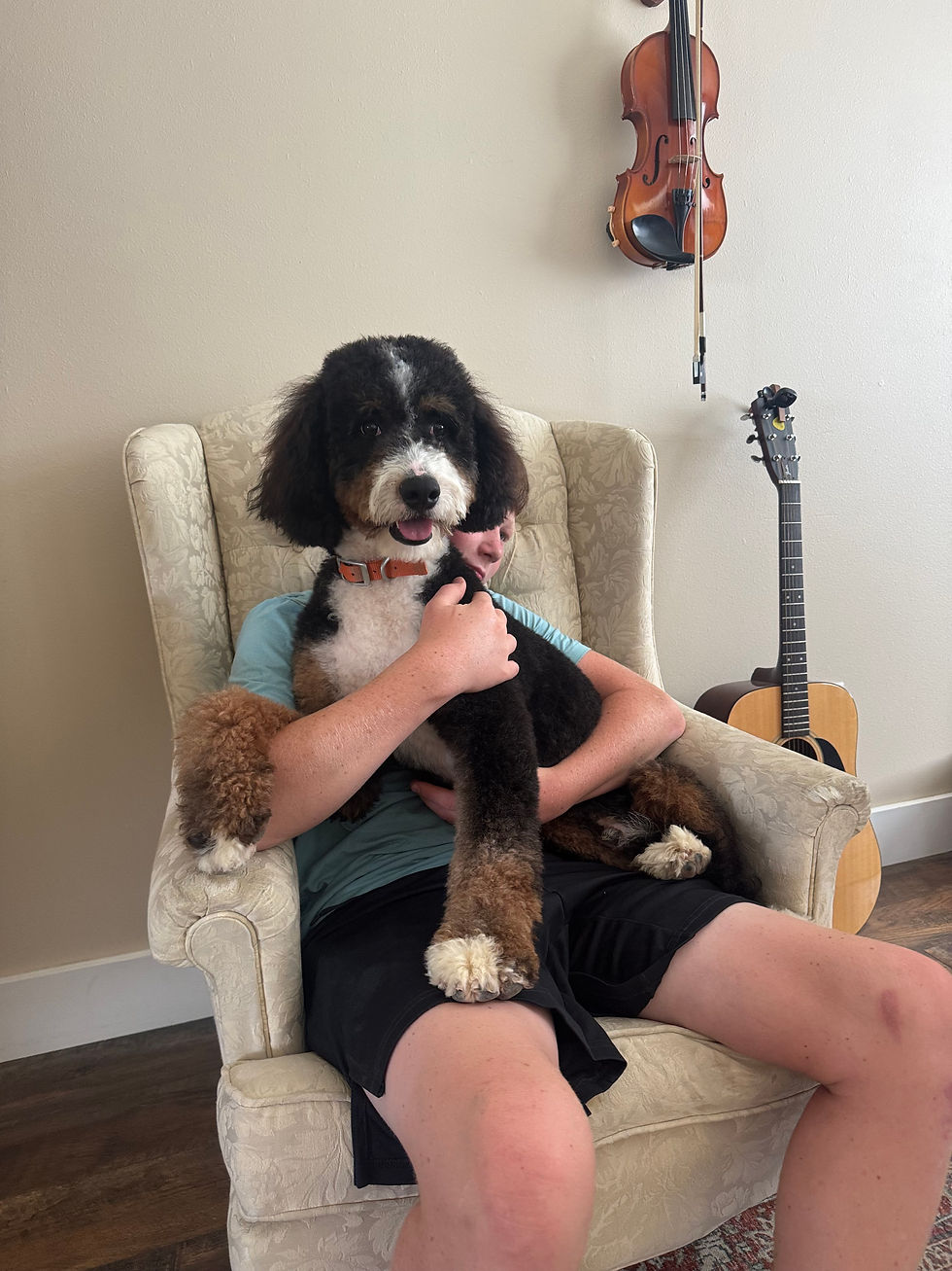 Bernedoodle