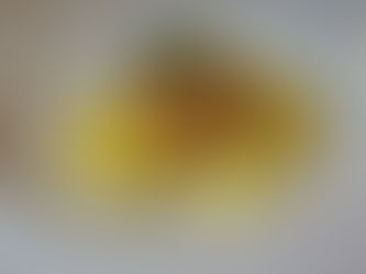 Eating Your Way Through Florence | Alle Murate Restaurant