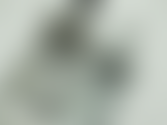 Ireland's Top Gin And Vodka Maker | Blackwater Distillery