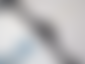 New York City's Premiere Dry Cleaning Service | Madame Paulette