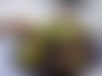 The Food Of Fes | Sweet Ramadan