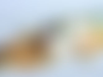 A Gastronomic Dining Experience With Majestic Views Of The River Douro | Eating At The Yeatman