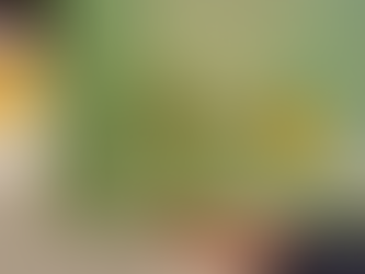 The Most Fantastic Restaurant On And Off The Island Of Capri