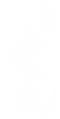 名称未設定のデザイン (16).png