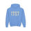 Thumbnail: 1989 Taylor's Version Youth Heavy Blend Hooded Sweatshirt