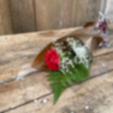 Single Carnation