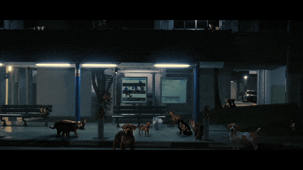 busstop animals.gif